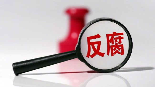 魏家上上下下都无比激动。